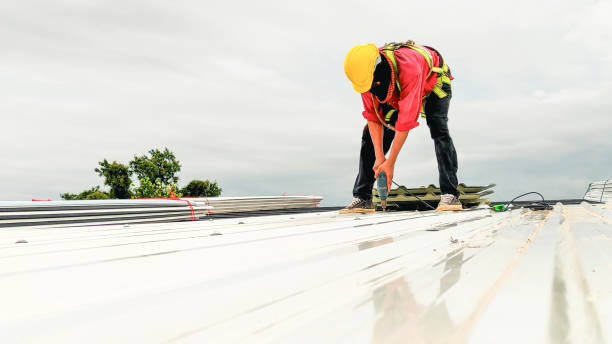 Best Roof Moss and Algae Removal  in Riverside, OH