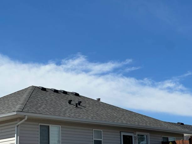 Best Roof Ventilation Installation  in Riverside, OH