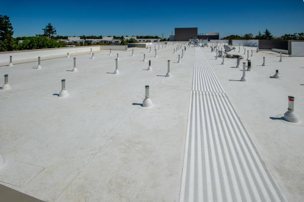 Best Skylight Installation and Repair  in Riverside, OH